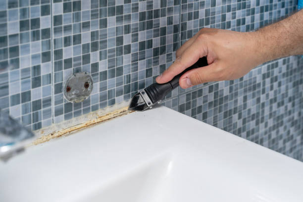 Trusted Lehighton, PA Mold Removal Experts